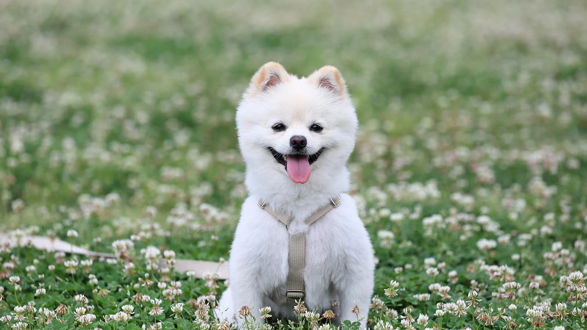 스페셜 사진3
